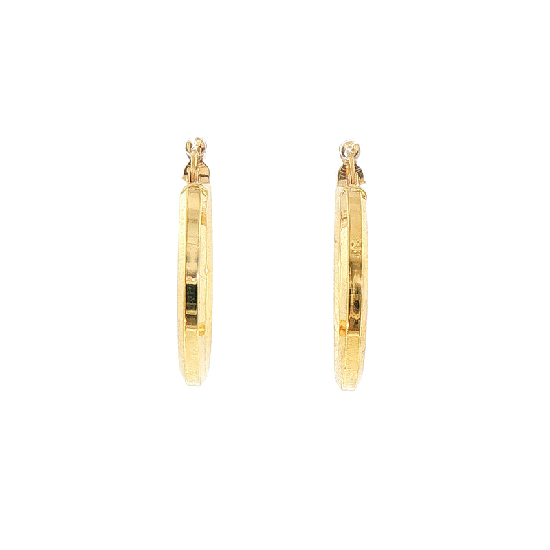 Round Hoop Earrings in 9ct Yellow Gold