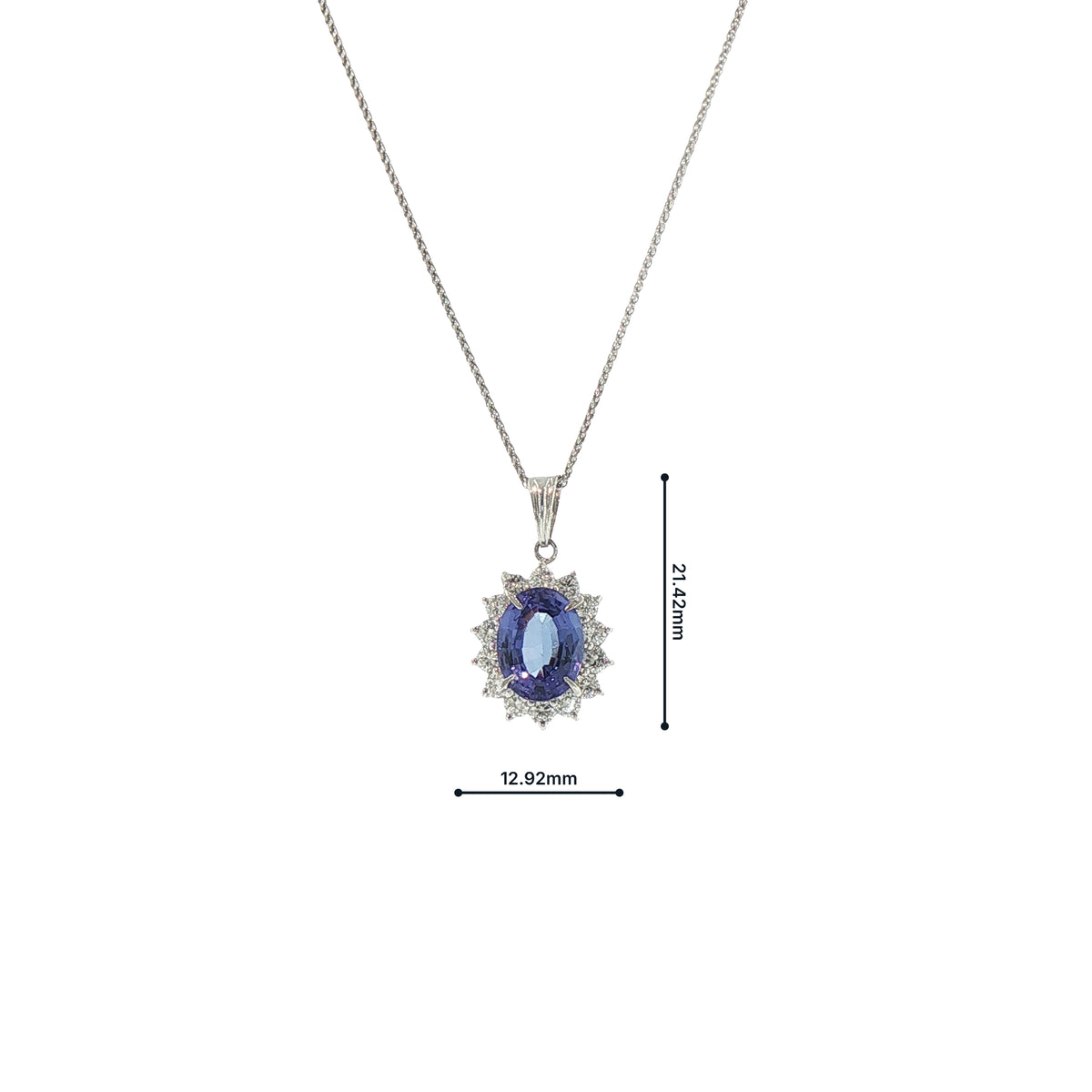 Vintage Platinum Oval 2.98 Tanzanite and 0.69 Diamond Cluster Pendant and Chain