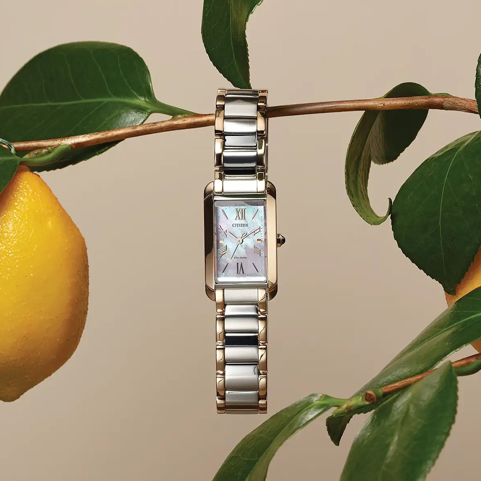 Ladies Citizen Two Tone Eco-Drive Rectangle Pink Mother Of Pearl on Stainless Steel Bracelet